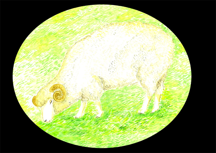 旅する星の王子さま